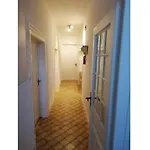 Hunting Siedlinghausfloor Winterberg
